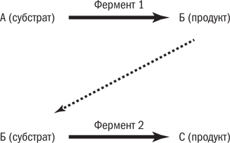 Полезная еда. Развенчание мифов о здоровом питании - i_009.png