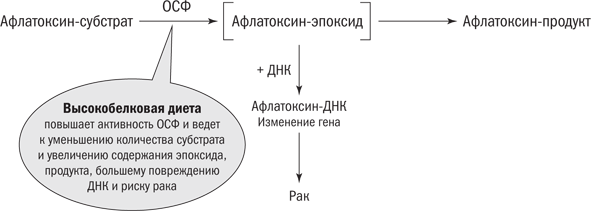 Полезная еда. Развенчание мифов о здоровом питании - i_013.png