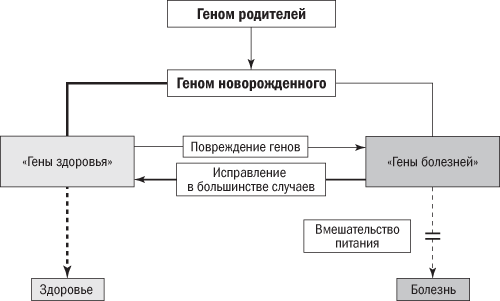 Полезная еда. Развенчание мифов о здоровом питании - i_017.png