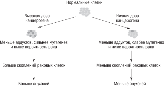 Полезная еда. Развенчание мифов о здоровом питании - i_018.png