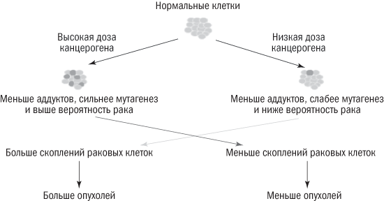 Полезная еда. Развенчание мифов о здоровом питании - i_019.png