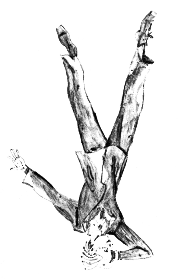 Жизнь и приключения чудака - i_002.png