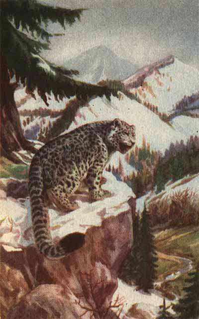 Ущелье барсов - Uschb001.jpg