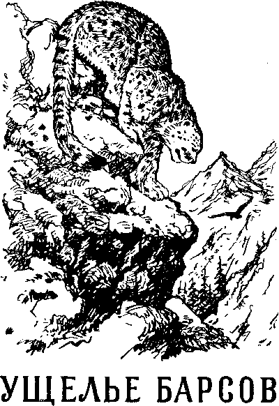 Ущелье барсов - Uschb002_.png