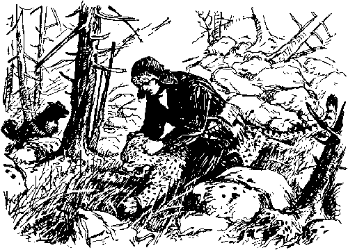 Ущелье барсов - Uschb012_.png