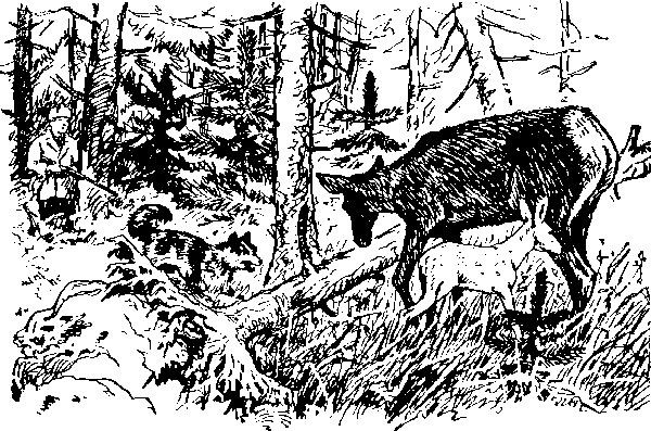 Ущелье барсов - Uschb021_.png