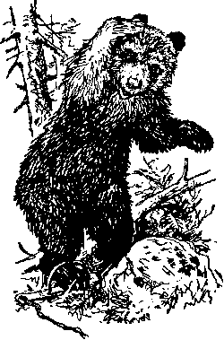 Ущелье барсов - Uschb052_.png