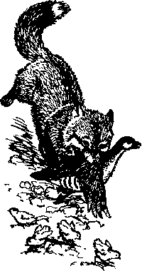 Ущелье барсов - Uschb071_.png