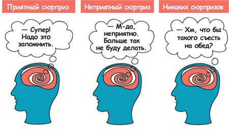 Искусство обучать. Как сделать любое обучение нескучным и эффективным - i_165.jpg