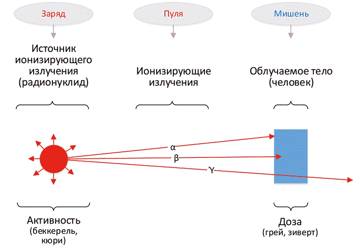 Занимательная радиация. Всё, о чём вы хотели спросить: чем нас пугают, чего мы боимся, чего следует опасаться на самом деле, как снизить риски - i_015.png