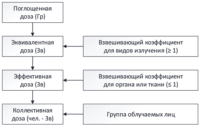 Занимательная радиация. Всё, о чём вы хотели спросить: чем нас пугают, чего мы боимся, чего следует опасаться на самом деле, как снизить риски - i_030.png