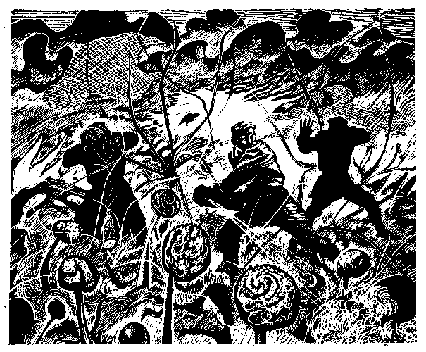 Огневки - sm72_06a.png