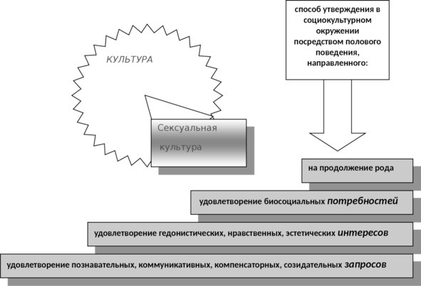 Основы социокультурной сексологии - image3_566be5d74f451abf3c4c7581_jpg.jpeg