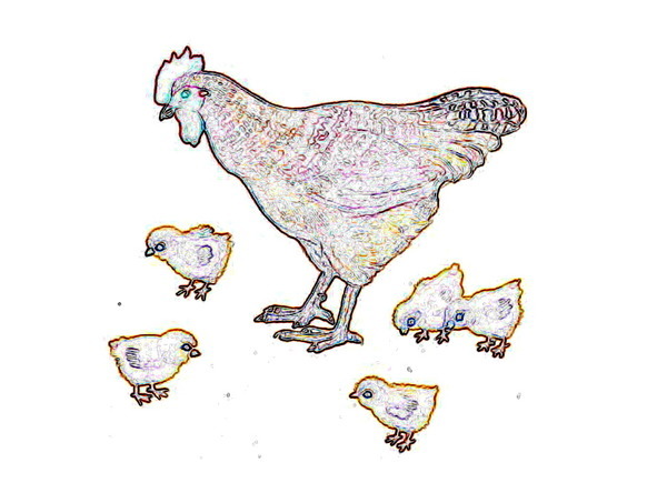 Волжские побывальщины - image4_56addfa1a6153c0500bff644_jpg.jpeg