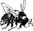 Пчелиная напасть - _6.png