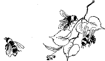 Пчелиная напасть - _7.png