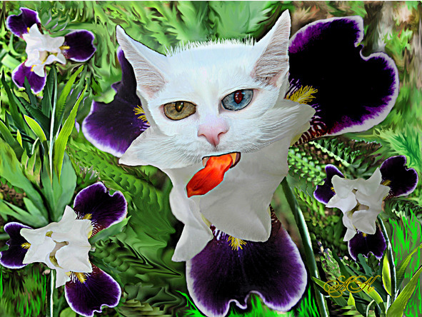 Вкус боли - image19_56bcbf900d1a390500ed70c4_jpg.jpeg