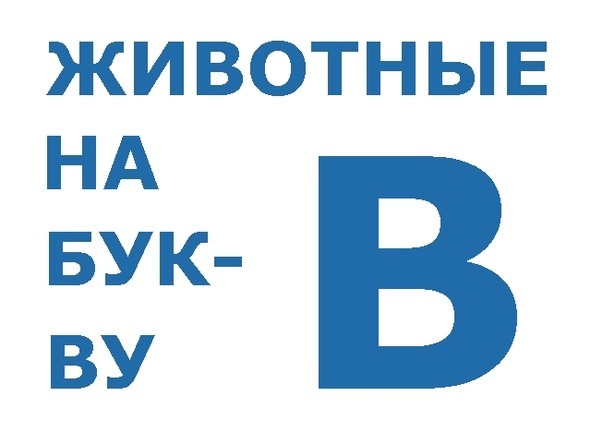 О животных по алфавиту. Книга вторая. Животные на В и Г - image0_566417f60e4f079817b5bdf5_jpg.jpeg