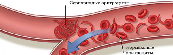 Дитя природы. Беседы о социальной биологии - i_005.jpg