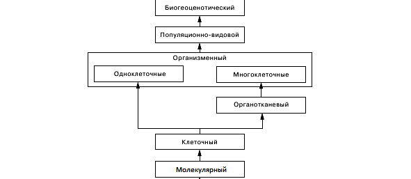 Биология - image1_566077a10f9be1bc0d92b426_jpg.jpeg