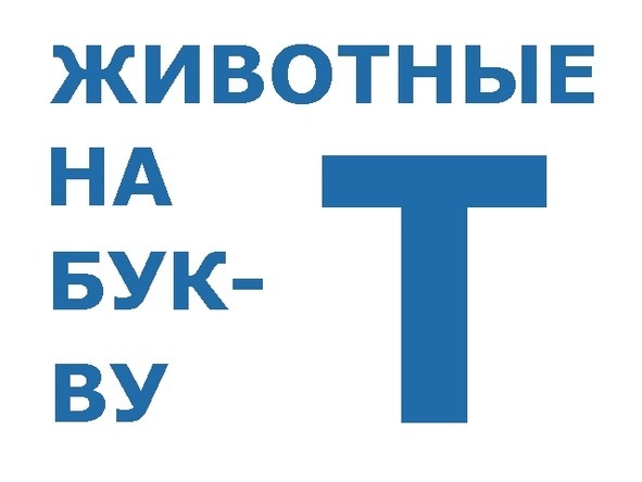 О животных по алфавиту. Книга одиннадцатая. Животные на Т - image0_56b5be72a6153c0500c4c8e0_jpg.jpeg