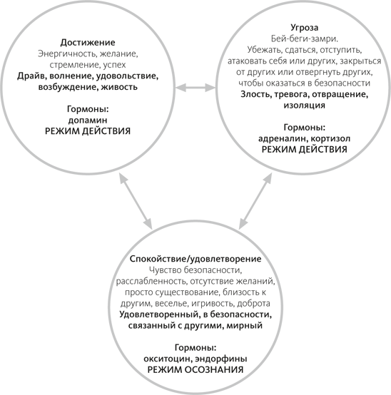 Осознанная медитация. Практическое пособие по снятию боли и стресса - i_014.png