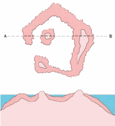 Энциклопедия «География» (с иллюстрациями) - a048.png