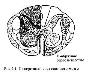 Нади-Виджняна. Внутренняя работа в йогических практиках - _01.jpg