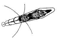 Большой космический клуб. Часть 1 - imgEA3B.jpg
