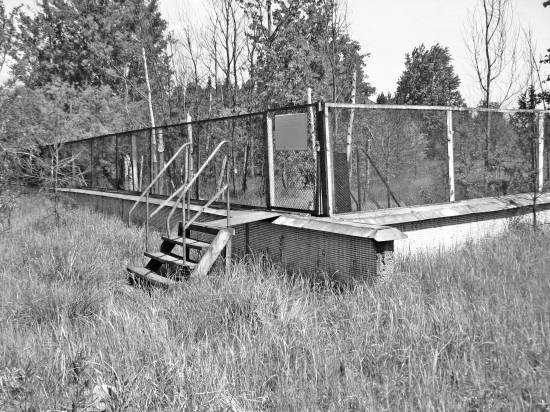 Чернобыль. Реальный мир - _02_photo.jpg