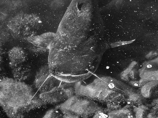 Чернобыль. Реальный мир - _07_photo.jpg