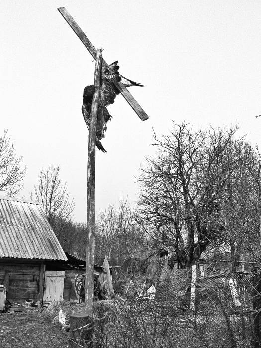 Чернобыль. Реальный мир - _08_photo.jpg