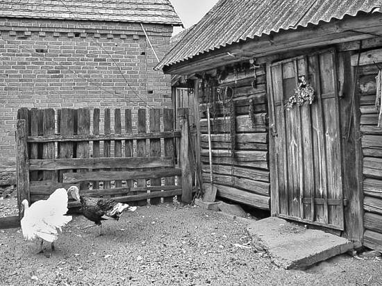 Чернобыль. Реальный мир - _09_photo.jpg