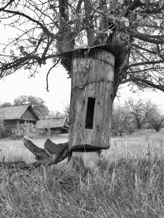 Чернобыль. Реальный мир - _18_photo.jpg