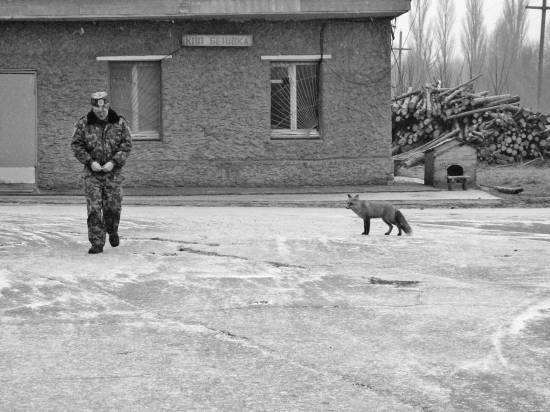 Чернобыль. Реальный мир - _25_photo.jpg