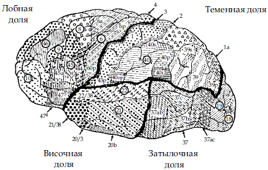 Настольная книга логопеда - i_006.png