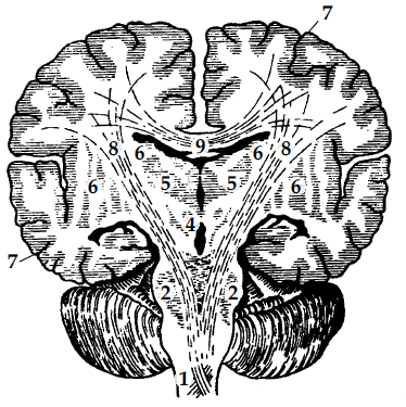 Настольная книга логопеда - i_009.png