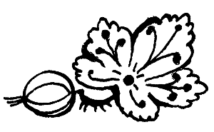 Малахитовая шкатулка (сборник) - i_028.png