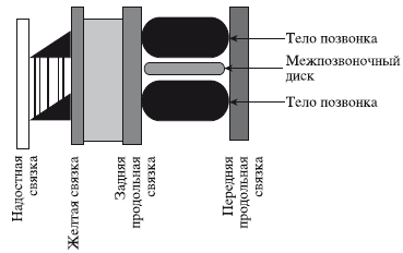 Массаж и лечебная физкультура - i_001.png