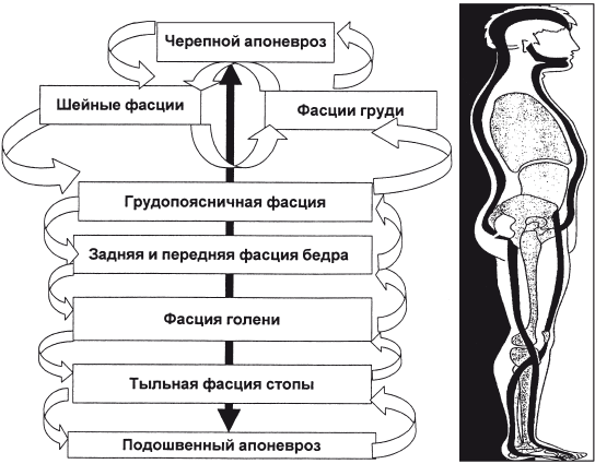 Массаж и лечебная физкультура - i_005.png