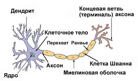 Тайная Доктрина дней Апокалипсиса (Книга 1) - i_022.jpg