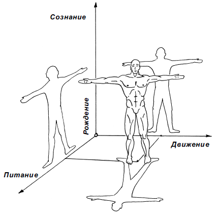 Снова о Норбекове, или Ёжики-мустанги - i_002.png