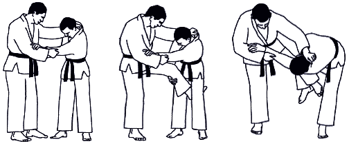 Дзюдо. Базовая технико-тактическая подготовка для начинающих - i_067.png