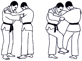 Дзюдо. Базовая технико-тактическая подготовка для начинающих - i_079.png