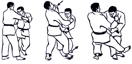 Дзюдо. Базовая технико-тактическая подготовка для начинающих - i_082.png