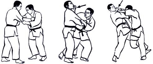 Дзюдо. Базовая технико-тактическая подготовка для начинающих - i_084.png