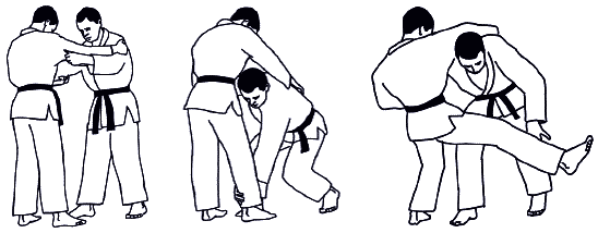 Дзюдо. Базовая технико-тактическая подготовка для начинающих - i_085.png