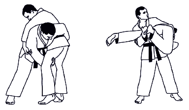 Дзюдо. Базовая технико-тактическая подготовка для начинающих - i_095.png