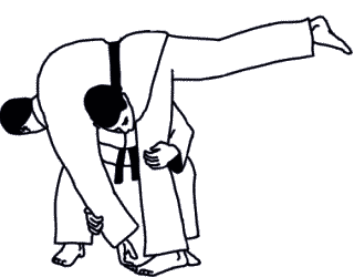 Дзюдо. Базовая технико-тактическая подготовка для начинающих - i_096.png