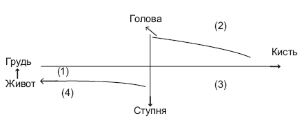 Оздоровительные упражнения Древнего Китая - i_002.png